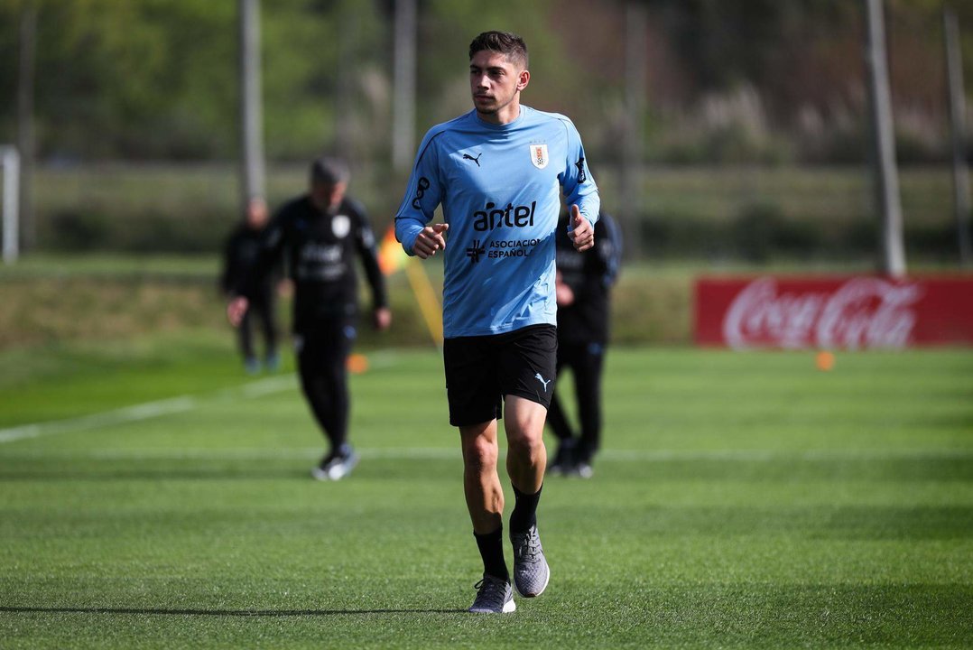 Imagen de archivo del centrocampista Federico Valverde, motor y equilibrio en la selección de Uruguay, que este jueves busca anticipar su clasificación a los cuartos de final de la Copa América de Estados Unidos a expensas de Bolivia en Rutherford (Nueva Jersey). EFE/Raúl Martínez